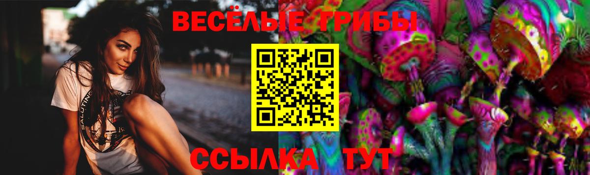 Галлюциногенные грибы MAGIC MUSHROOMS Наро-Фоминск